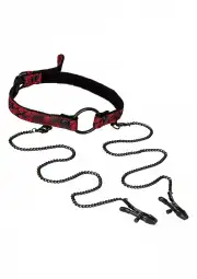 Кляпы, ошейники красный