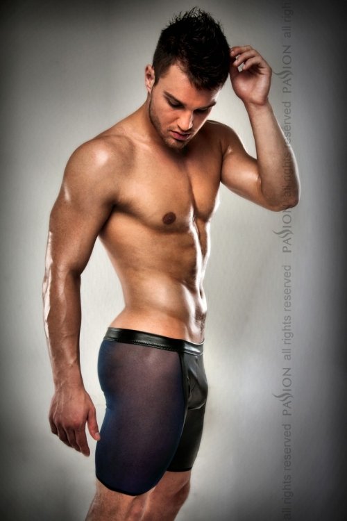 Мужские шорты Passion 026 SHORT, черные