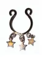 Украшение на соски Nipple Charm Star photo 1