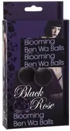Вагинальные шарики BLACK ROSE BEN WA BALLS BLACK photo 5